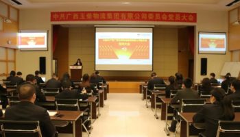 玉柴物流集團(tuán)黨委完成換屆選舉，夯實黨建基礎(chǔ)